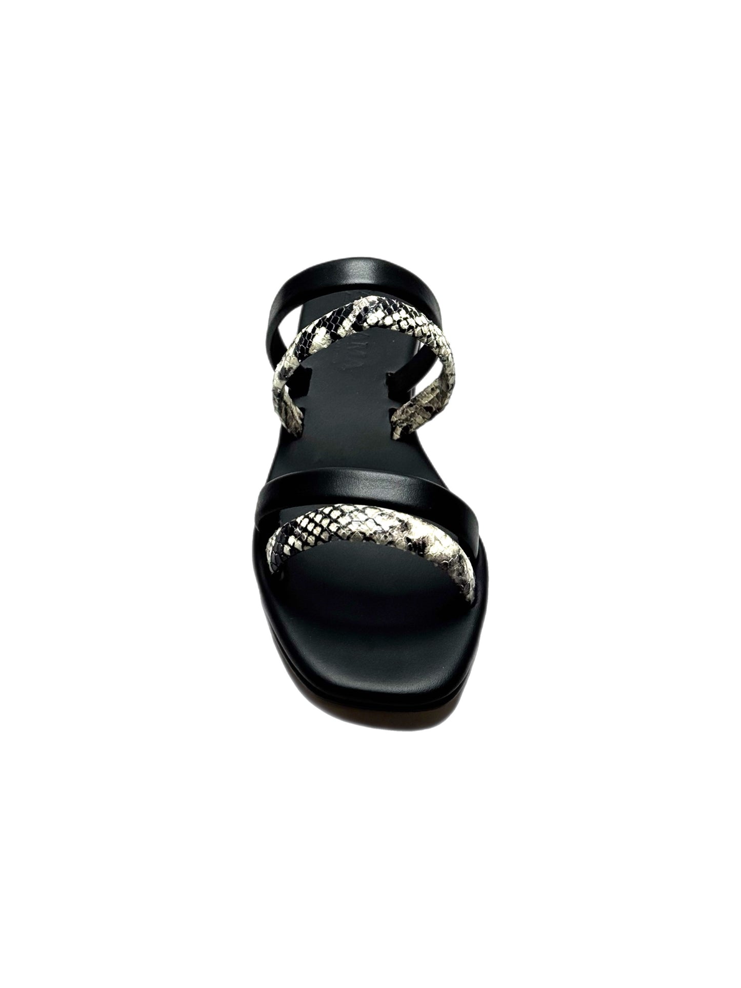 Snake Black
