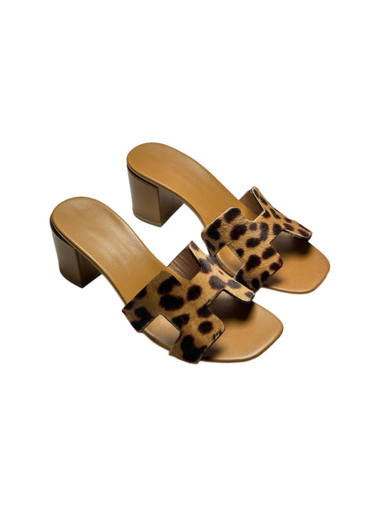 Leopard Brown