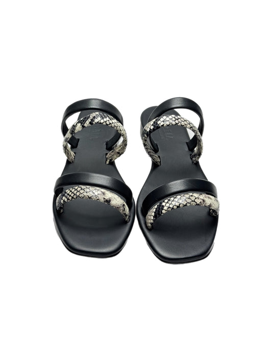 Snake Black